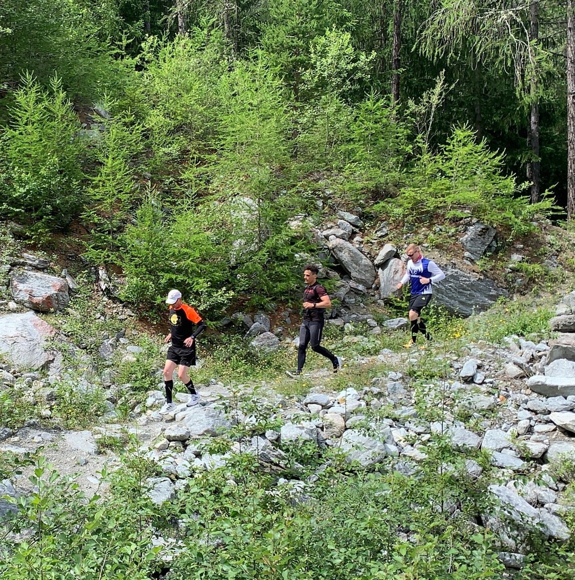 Eine der schönsten Erfahrungen, die ein Läuferleben zu bieten hat: Ein Bergmarathon. Aber ein Alpinmarathon hat besondere Anforderungen und braucht ein besondere Vorbereitung.