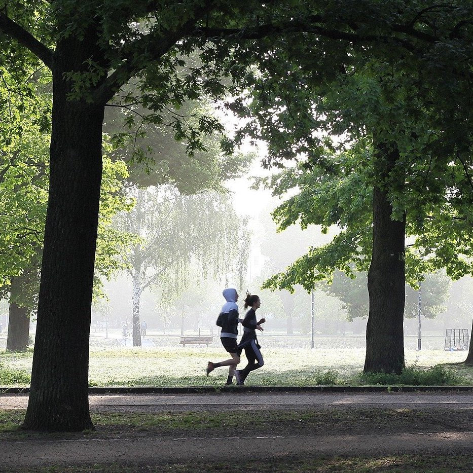 Joggen für Anfängern hilft beim Abnehmen und trainiert die Ausdauer. Aber wie gelingt Jogging Anfangen eigentlich richtig nach Plan?