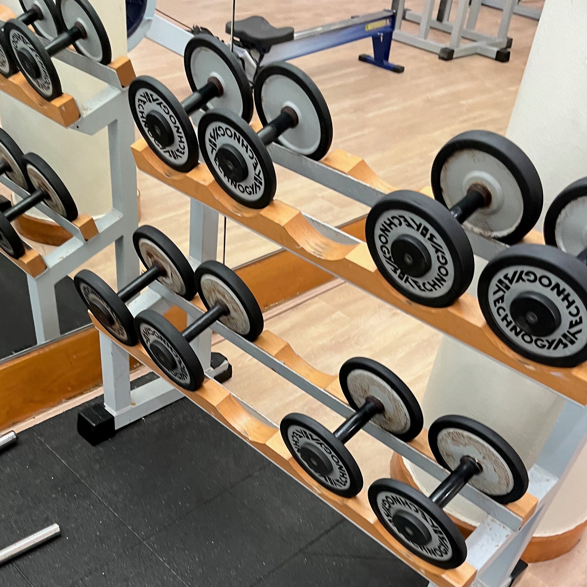 Die gezeigten Kurzhanteln sind für das Muskel-Aufbautraining von Läufern gut geeignet