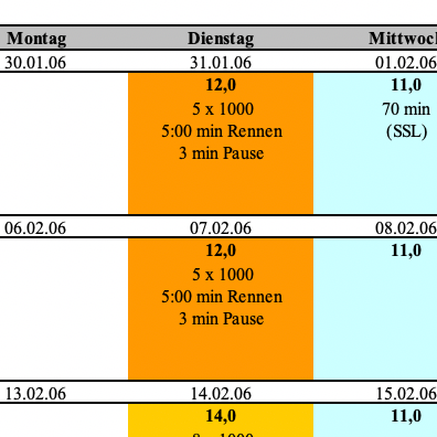 Zusehen ist ein Beispiel bzw. ein Ausschnitt eines individuellen Trainingsplans für das Laufen.