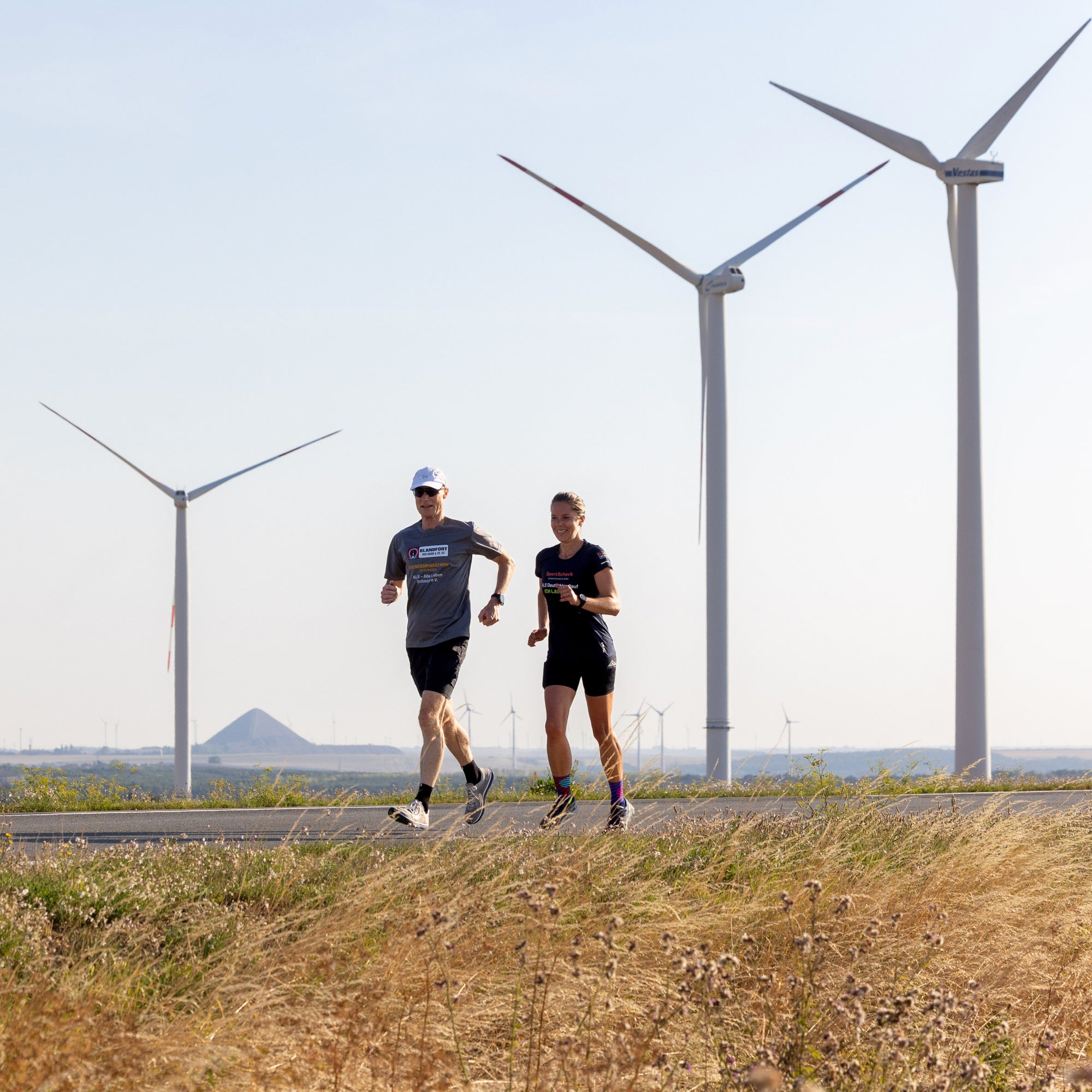 Mitochondrien – Die Windräder für Energie und Fettstoffwechsel