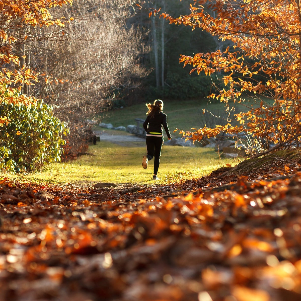eine Joggerin in der Natur. werden Sie auch zum Natural Runner.