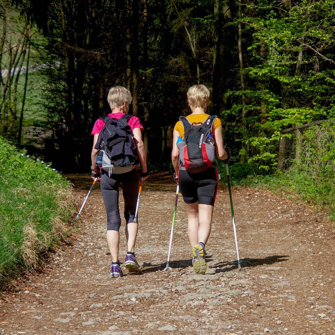 Egal ob Walker und Läufer - Anfänger sollten täglich trainieren! So werden Sie zum Dauerläufer!