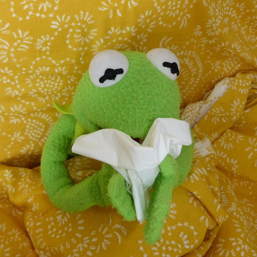 Warum Infekte bei Läufern länger bleiben – und wie Sie gesund zurück ins Training finden