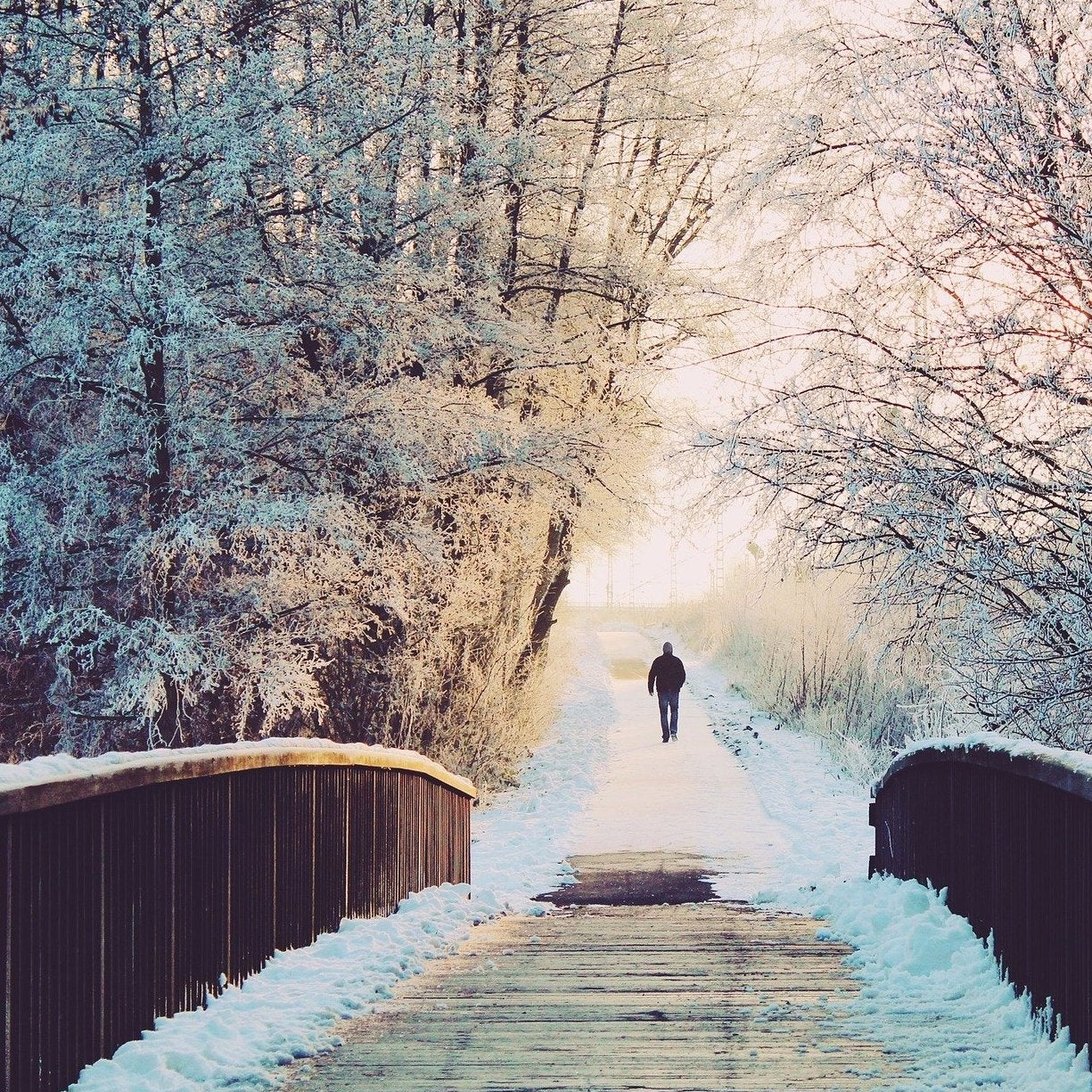 Machen Sie das richtige Wintertraining um den Frühjahrsmarathon erfolgreich zu absolvieren