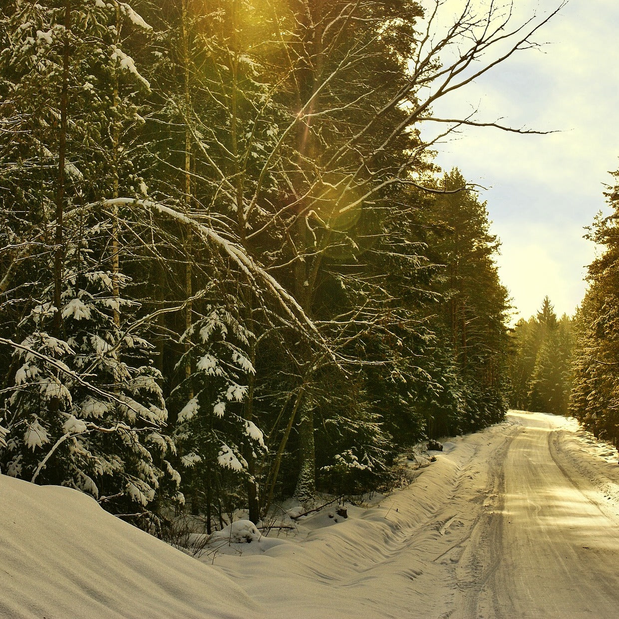 Lauftraining im Winter macht den meisten nur wenig Spaß. Mir schon! Hier habe ich einige Tipps für Ihr Wintertraining zusammengestellt.