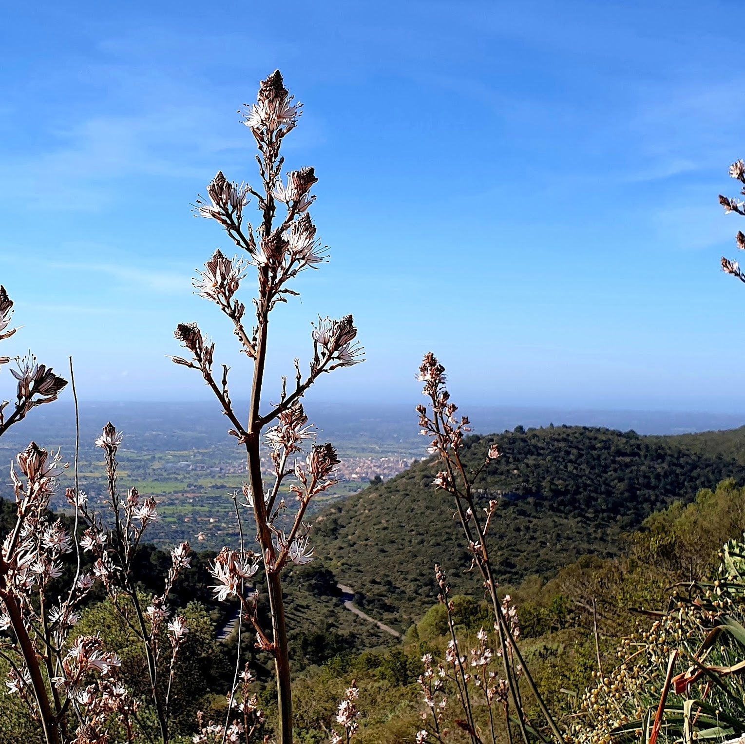 Ausblick über die schöne Landschaft auf Mallorca bei unseren Laufcamps im März oder Oktober.. 
