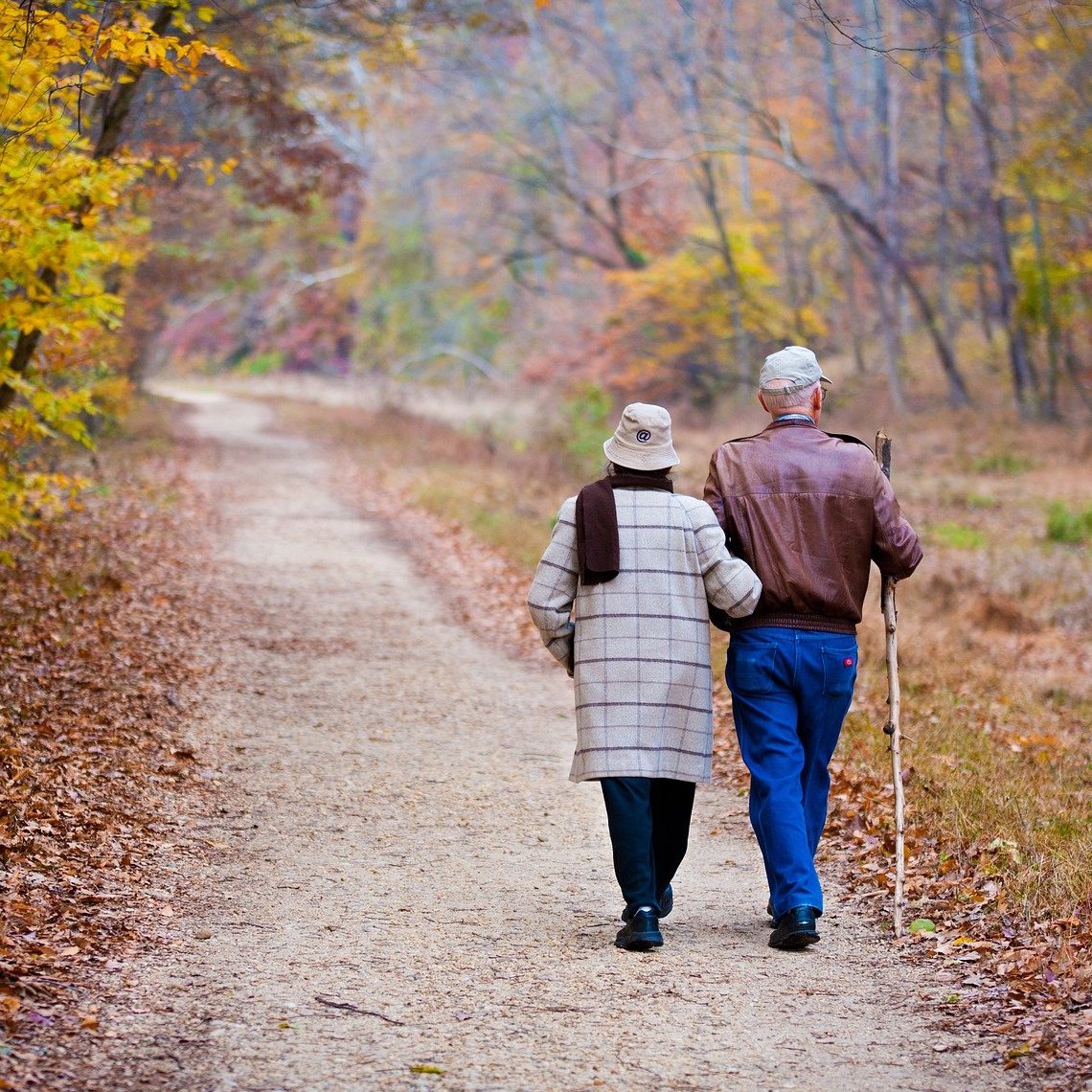 Ein altes Ehepaar hält sich fit, indem sie laufen gehen, dadurch leben sie automatisch länger.