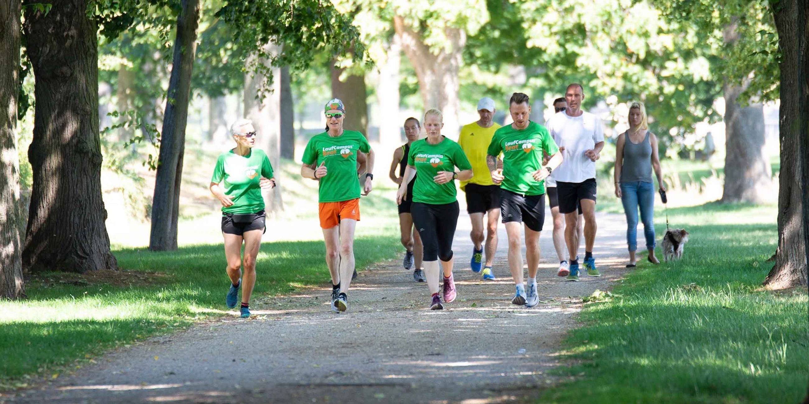 Laufseminare und Marathonseminare als Laufwochenenden, eine Gruppe Läufer*innen joggt durch den Wald