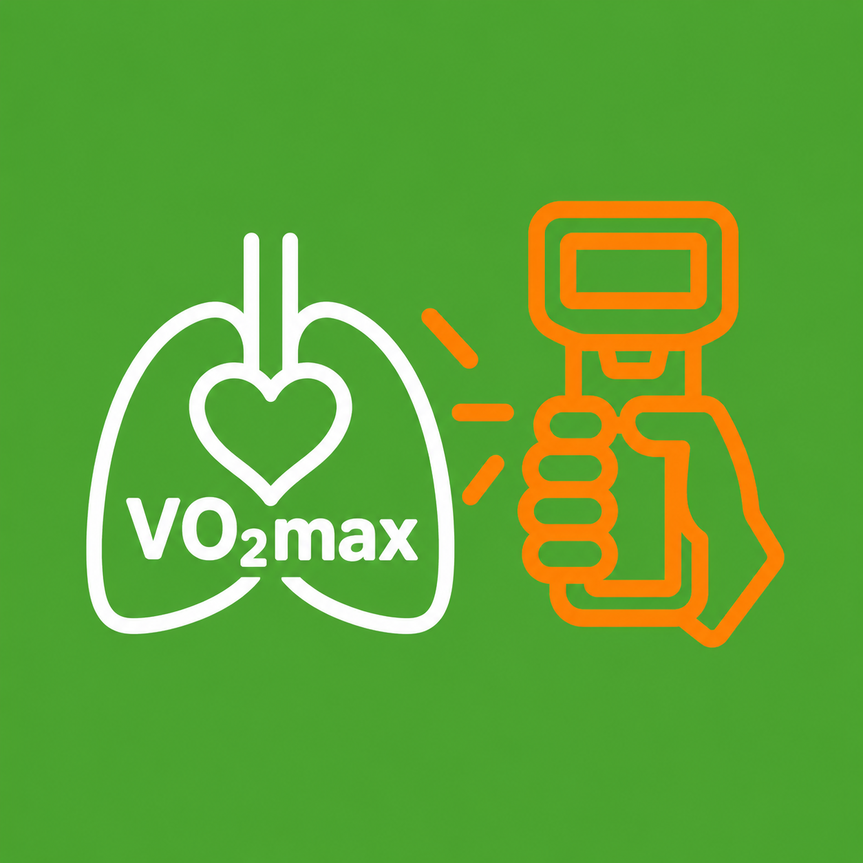 VO₂max- und Griffkraftmessung beim Fitness- & Performance-Check