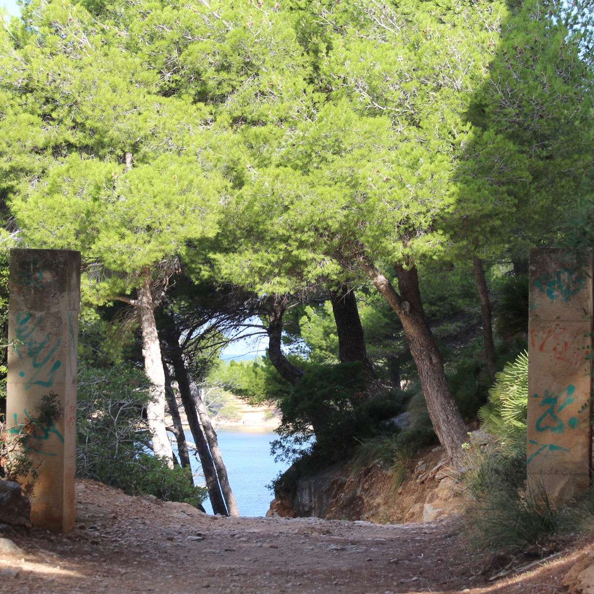 Mallorca Run & Hike | Laufen und Wandern
