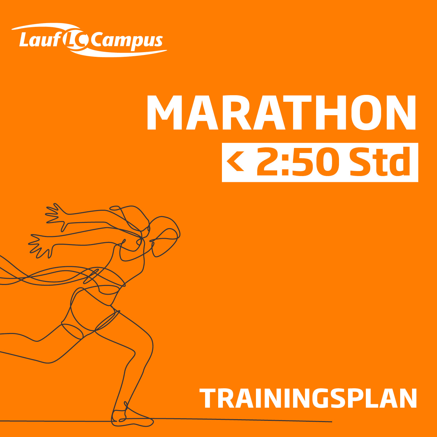 Marathon Trainingsplan unter 2:50 Stunden
